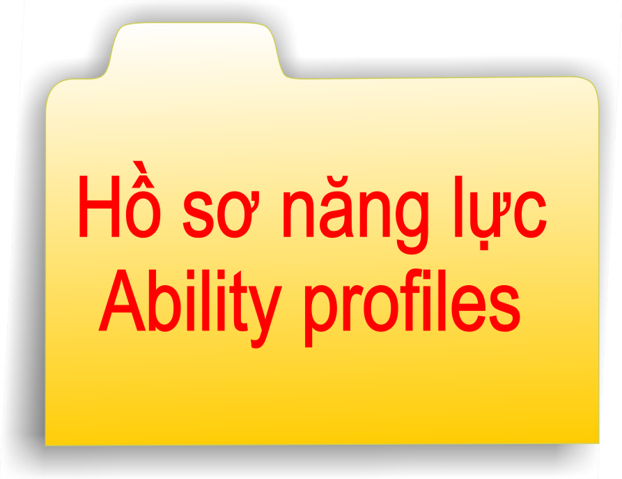 ho so nang luc vach ngan viet nam\