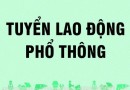 Tuyển dụng lao động phổ thông làm việc tại quận 12, TPHCM